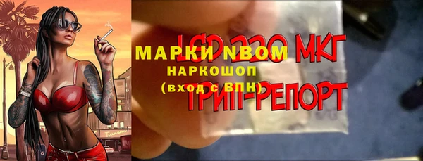 прущие грибы Зерноград