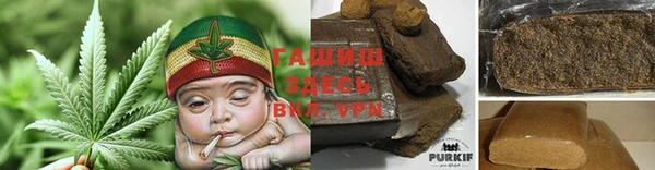 прущие грибы Зерноград
