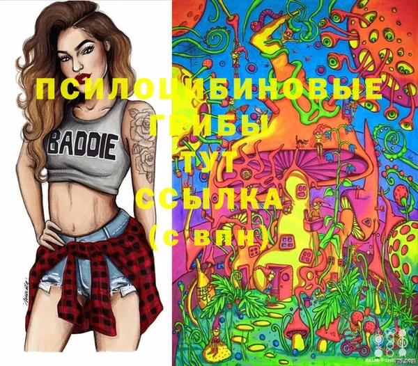 прущие грибы Зерноград