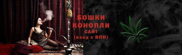 прущие грибы Зерноград