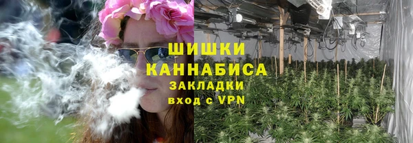 прущие грибы Зерноград