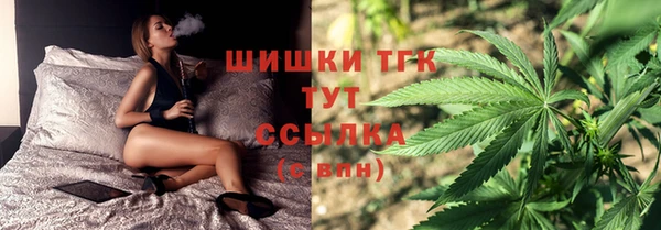 прущие грибы Зерноград