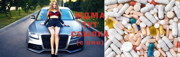 прущие грибы Зерноград