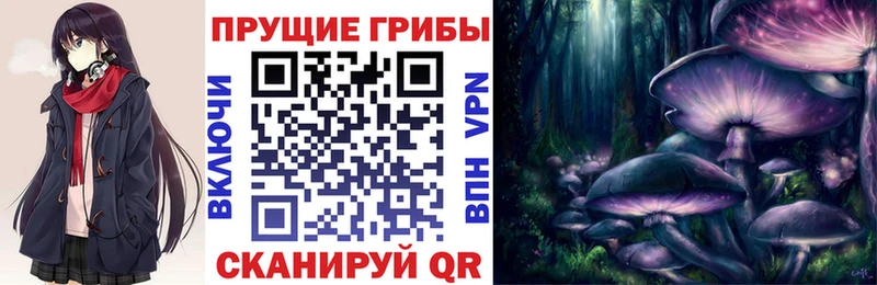 Купить закладки  Пущино  Псилоцибиновые грибы Psilocybine cubensis 