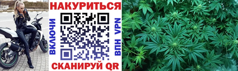 МАРИХУАНА семена Пущино